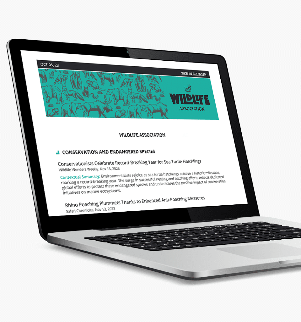 Cm V2 Im Briefings Cm V2 Im Briefings